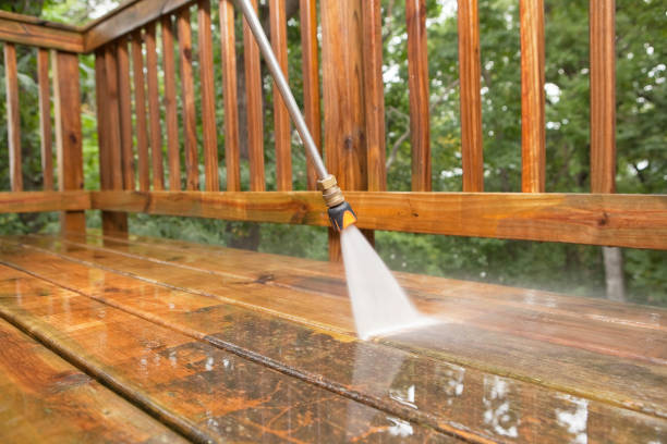 Best Animal Enclosure Cleaning  in Spring Valley, WI